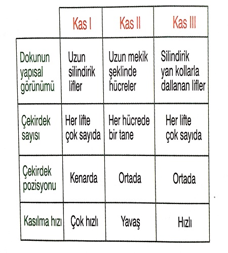 Soru görseli