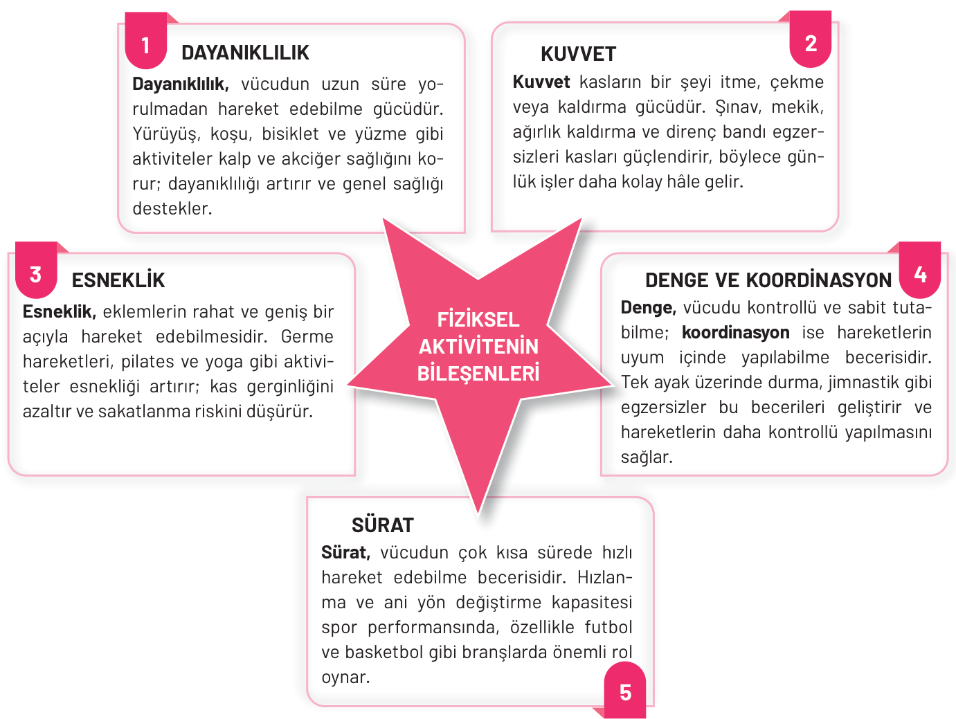 Soru görseli