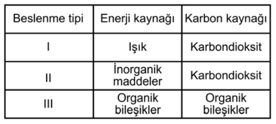 Soru Resim 2