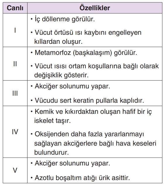 Soru Resim 2