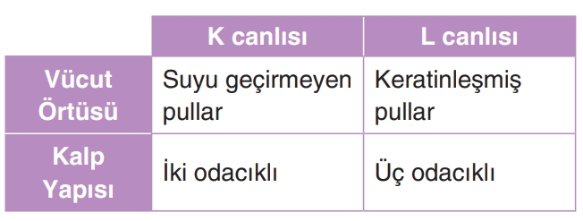 Soru Resim 2