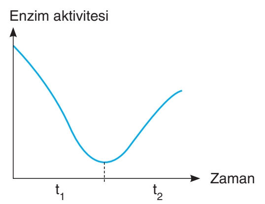 Soru Resim 2