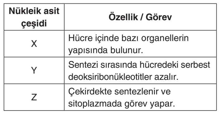 Soru Resim 2