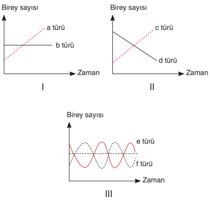 Soru Resim 2
