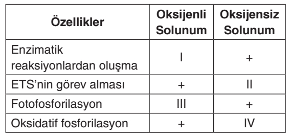 Soru Resim 2