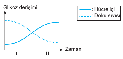 Soru Resim 2
