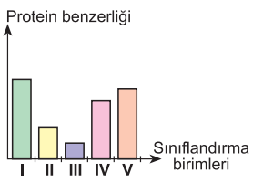 A seçeneği resmi