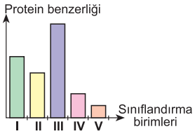 B seçeneği resmi