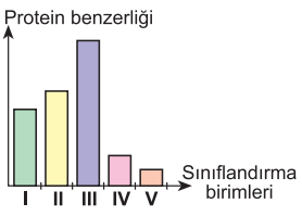 C seçeneği resmi