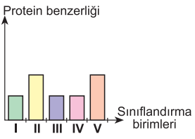 D seçeneği resmi