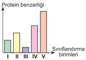 E seçeneği resmi