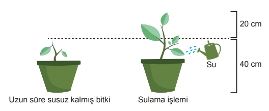 Soru Resim 2
