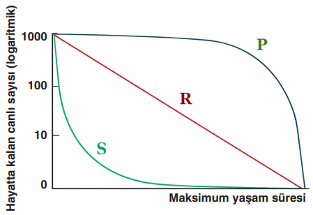 Soru Resim 2