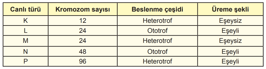 Soru Resim 2